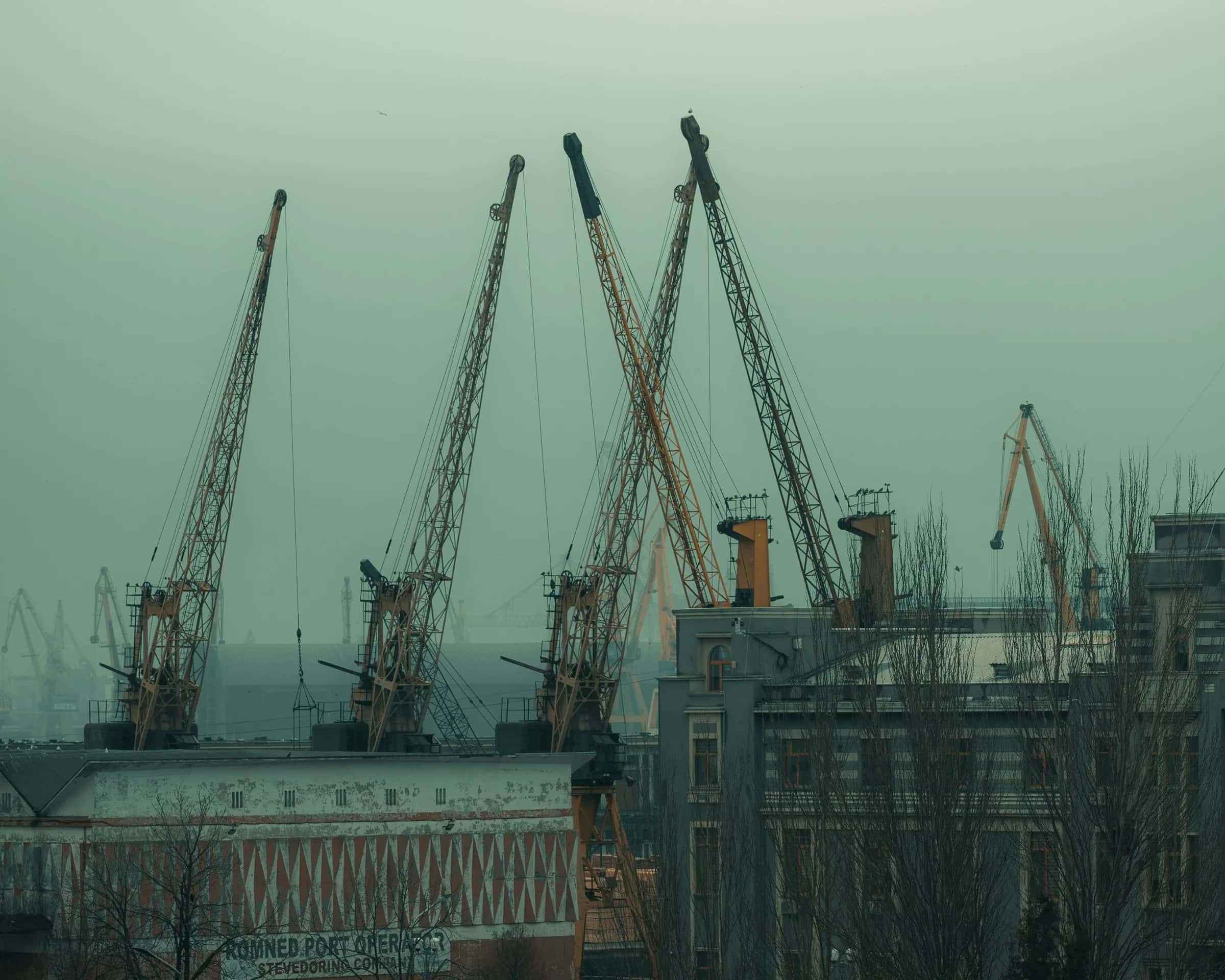 Puslu havada su kıyısına sıralanmış yükleme vinçleri